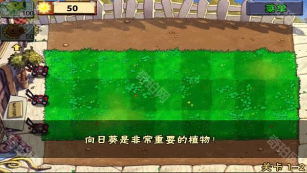 植物大战僵尸流氓版