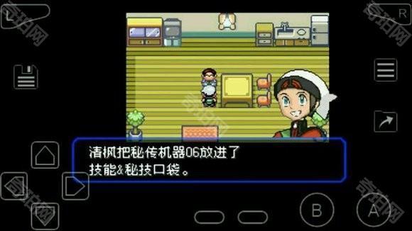 口袋妖怪究极绿宝石