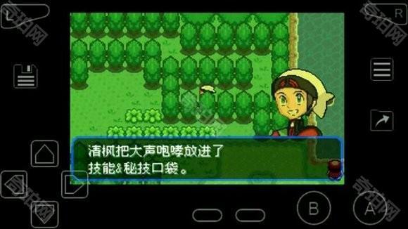 口袋妖怪究极绿宝石