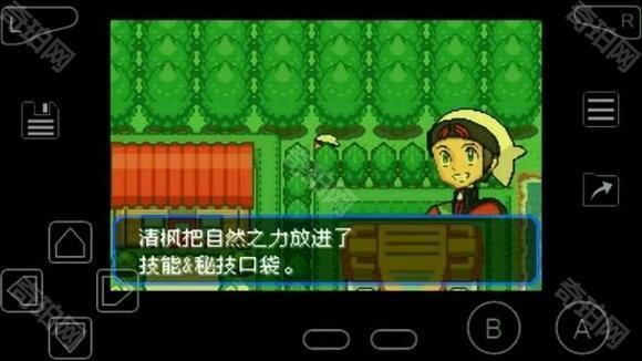 口袋妖怪究极绿宝石