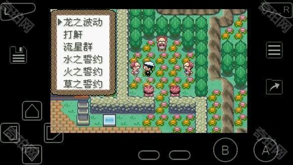 口袋妖怪究极绿宝石