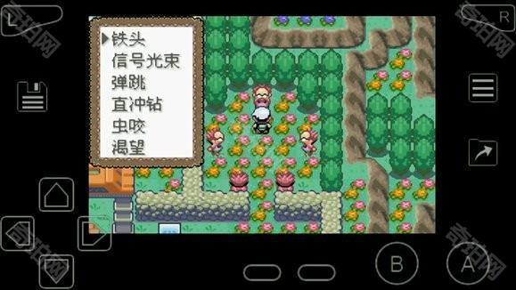 口袋妖怪究极绿宝石