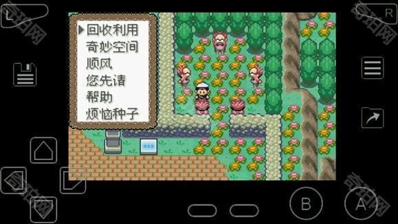 口袋妖怪究极绿宝石