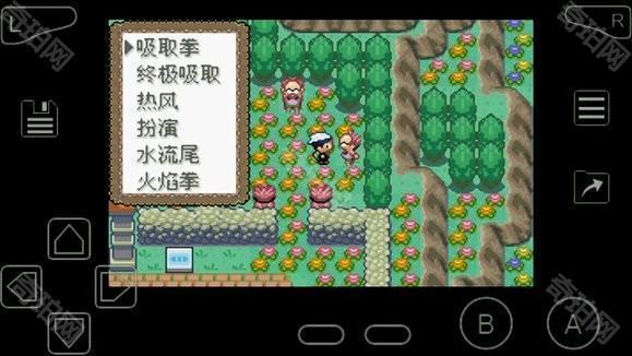 口袋妖怪究极绿宝石