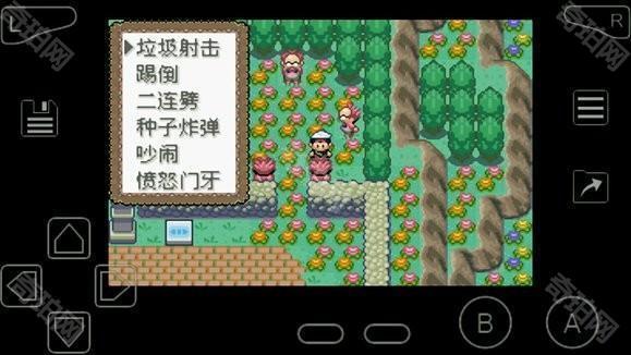 口袋妖怪究极绿宝石