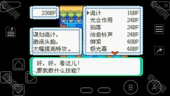口袋妖怪究极绿宝石
