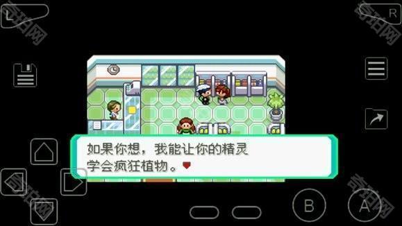 口袋妖怪究极绿宝石