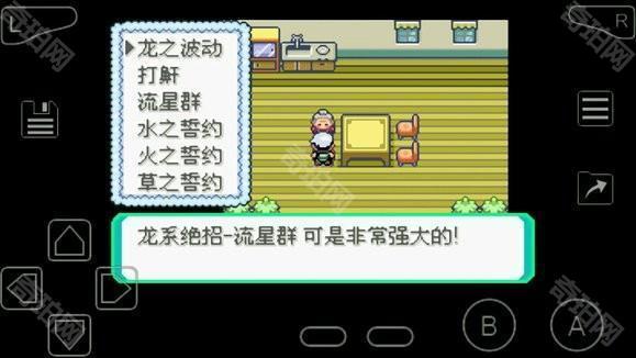 口袋妖怪究极绿宝石