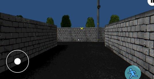 皮卡布宁静的夜晚下载 v1.3