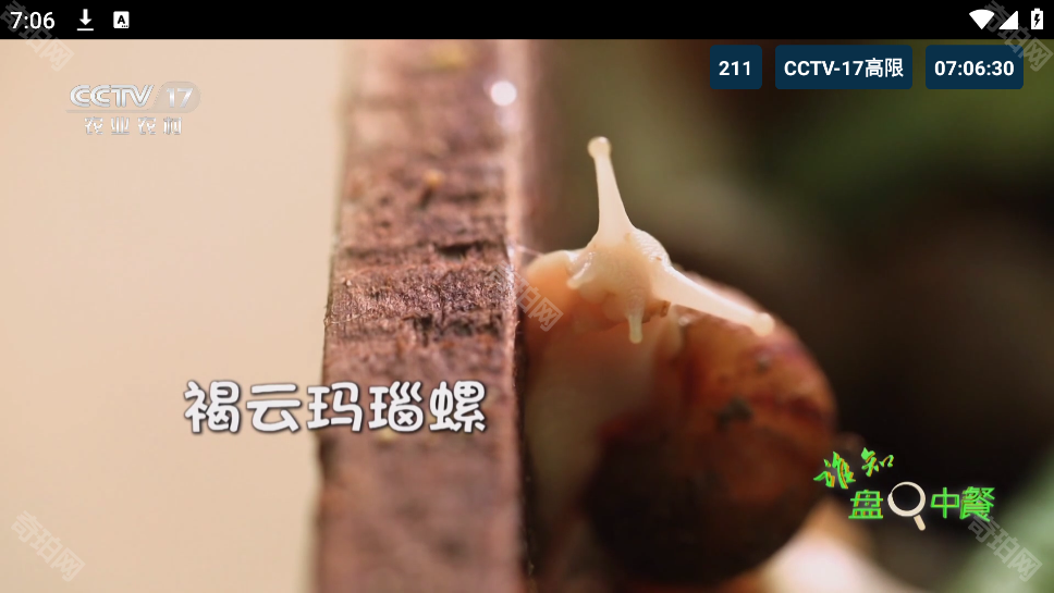 猫tv美刷版