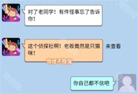 橘猫侦探社 第2张图