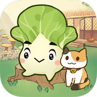 治愈小院赚钱版