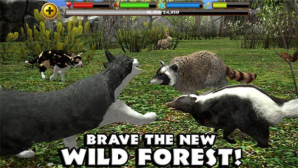 流浪猫模拟器中文版下载 v1.0.4