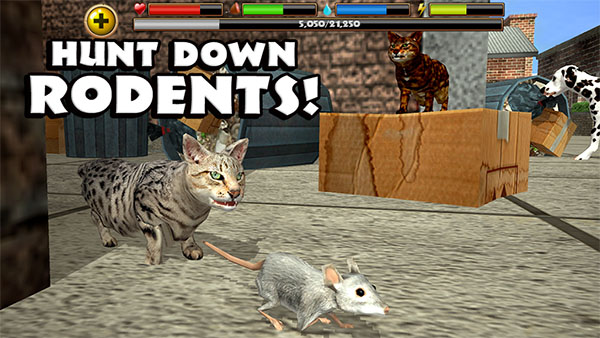 流浪猫模拟器中文版下载 v1.0.4