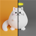 双重猫咪