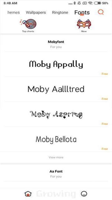 小米主题商店谷歌版