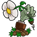 植物大战僵尸合成大西瓜