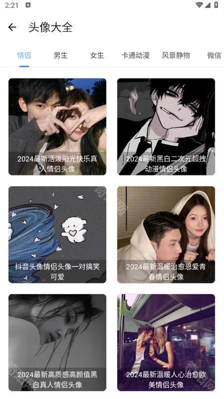 主题库pro中文版