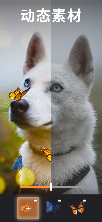 Motionleap剪辑软件