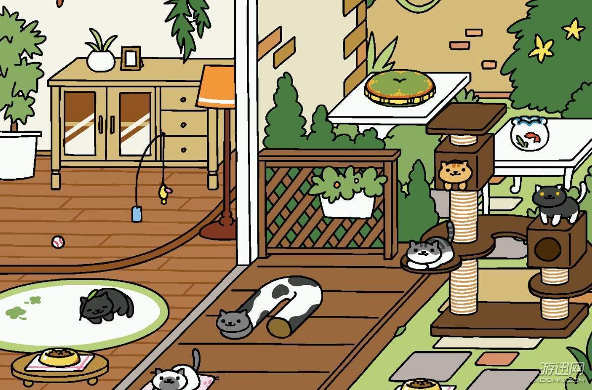 猫咪寻物记