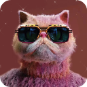 画质云2025最新版