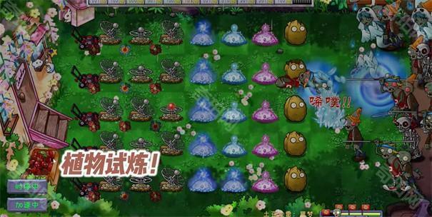 植物大战僵尸共生版