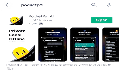 PocketPal