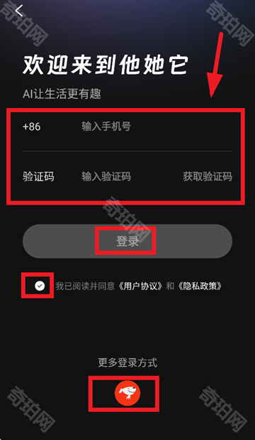 他她它ai聊天软件
