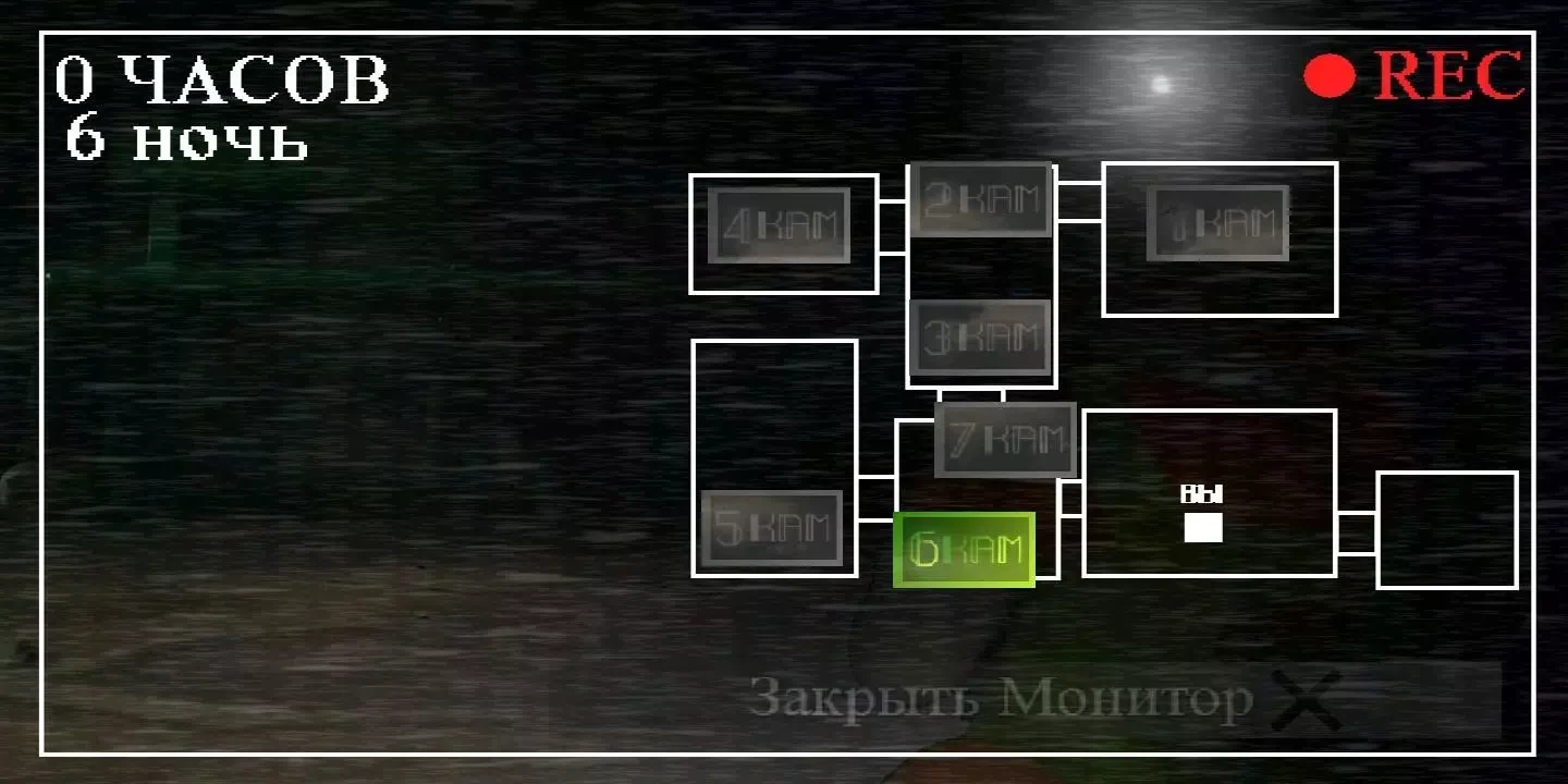 刺猬的五夜后宫