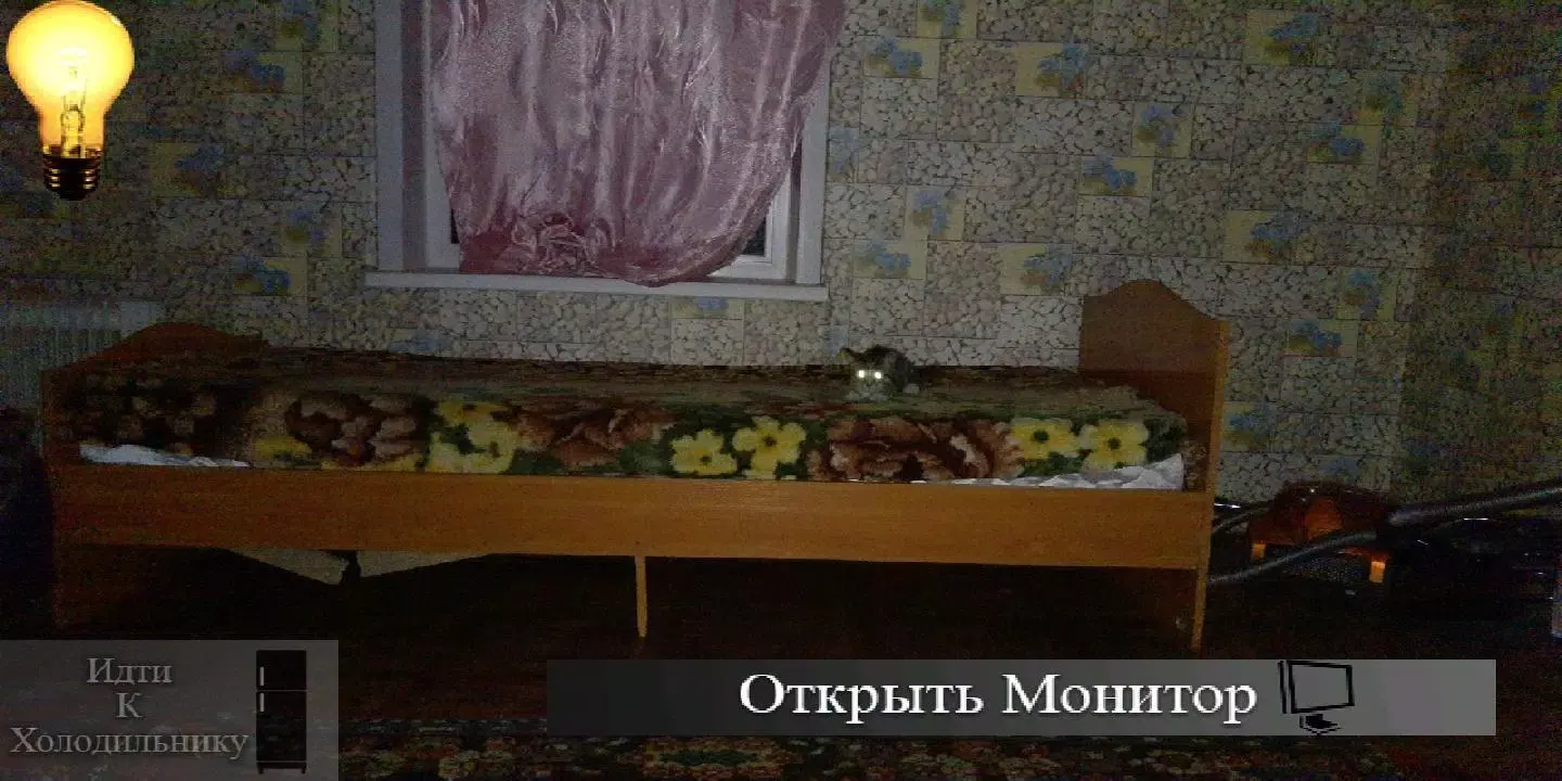 刺猬的五夜后宫