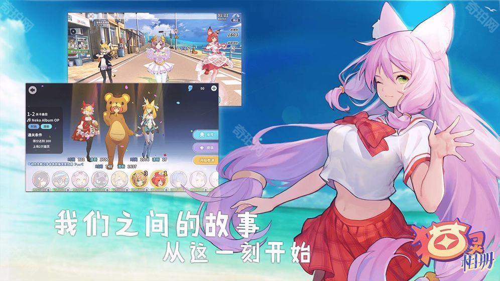 猫灵相册单机纪念版