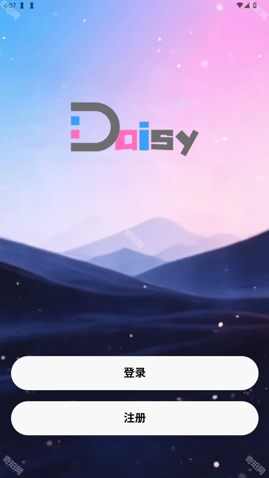 daisy