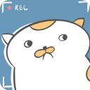 主播与猫的故事