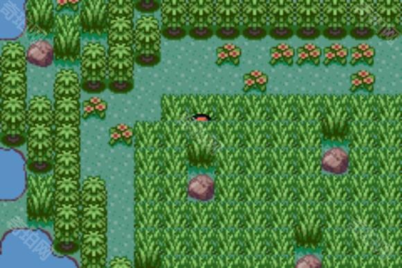 口袋妖怪格查尔联机版