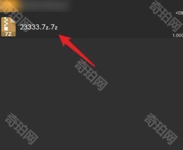 ZArchiver Pro中文版