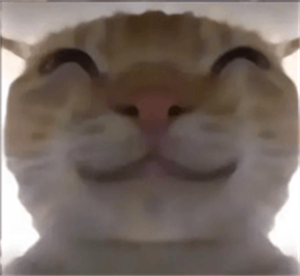 鼠鼠偷吃模拟器免费版