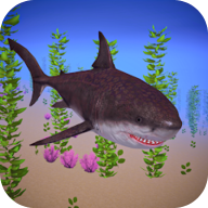 鲨鱼水下生存模拟