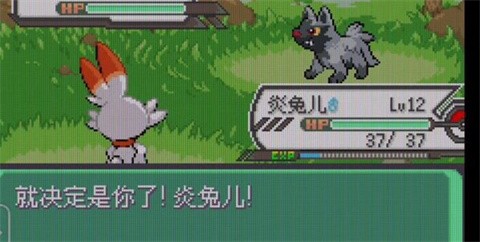 神奇宝贝绿宝石