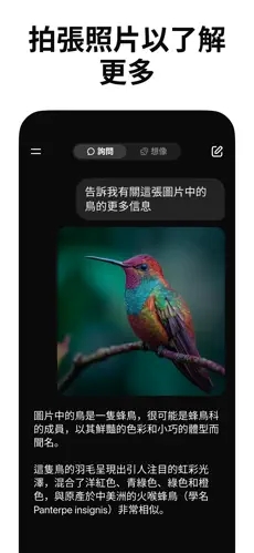 Grok4.1安卓版