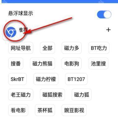 超强磁力下载plus手机版