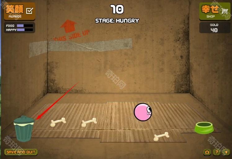 养只宠物球游戏玩法-2