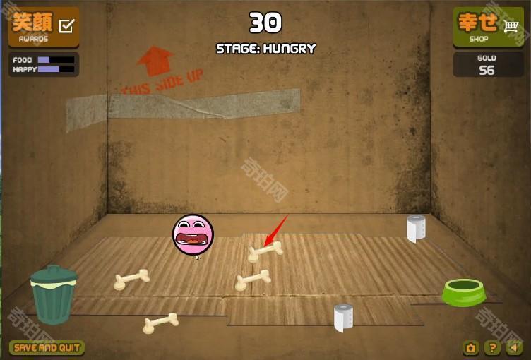 养只宠物球游戏玩法-3