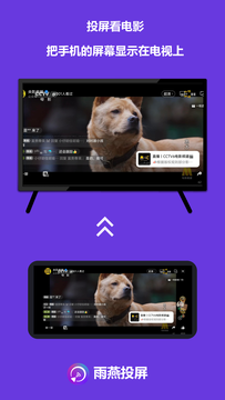 雨燕投屏手机版