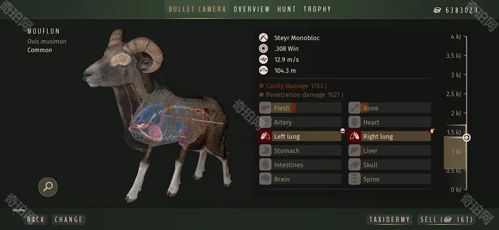 猎人之道狂野欧洲