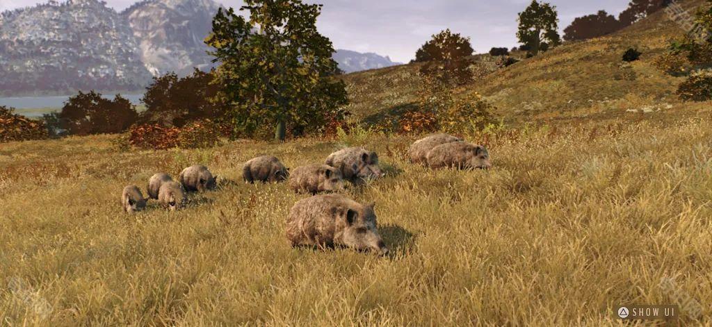 猎人之道狂野欧洲