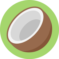 椰子短信验证码