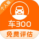车300二手车免费版