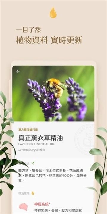 芳香索引