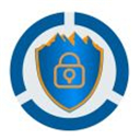 平安回家苹果版