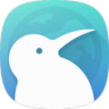 kiwi浏览器